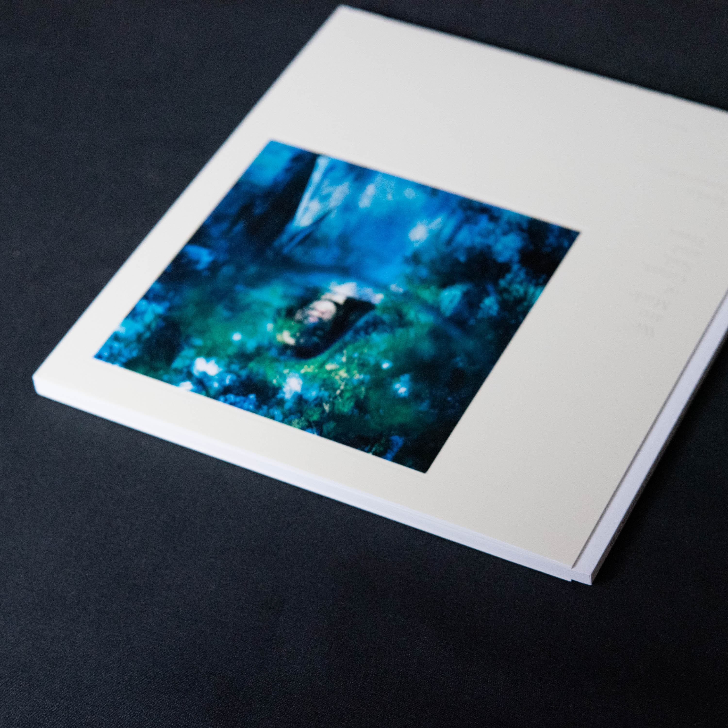 本 :: アート写真集 :: We are Made of Grass, Soil, and Trees / 山元