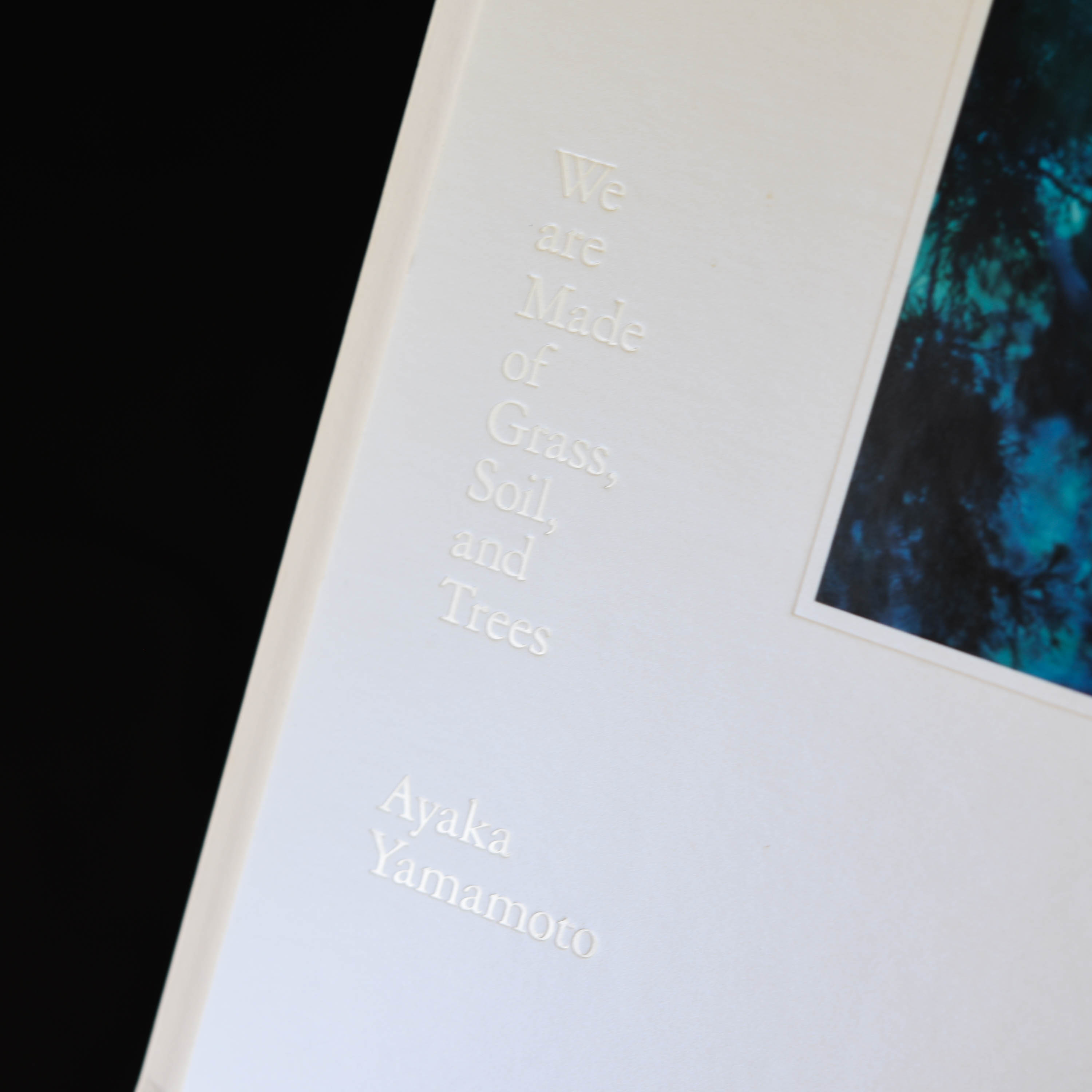 本 :: アート写真集 :: We are Made of Grass, Soil, and Trees / 山元