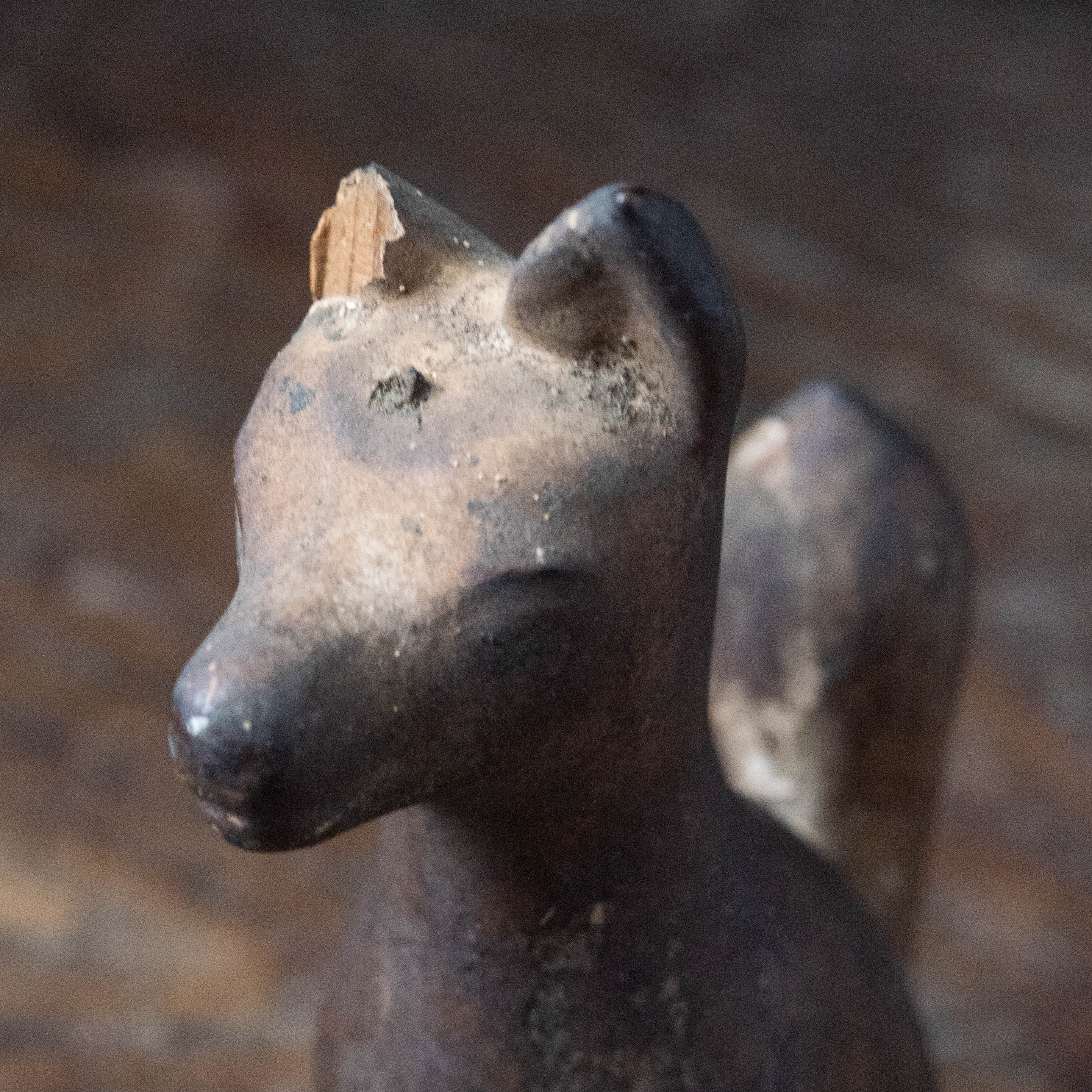 宗教美術 :: 木彫 お稲荷様 狐像 | COTTOU.JP 骨董の通販マーケット