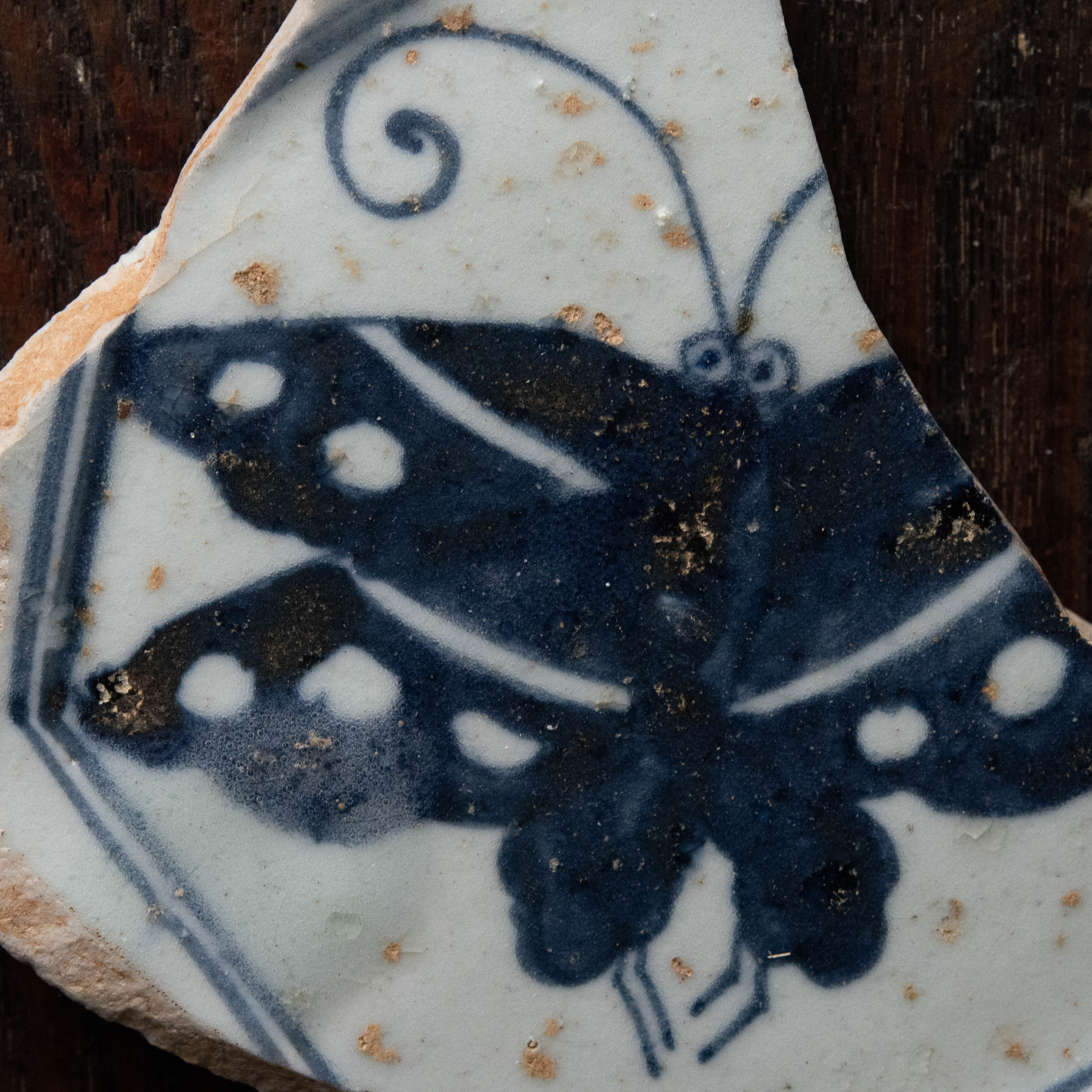 陶磁器 :: 初期伊万里 蝶文 皿 陶片 | COTTOU.JP 骨董の通販マーケット